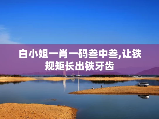 白小姐一肖一码叁中叁,让铁规矩长出铁牙齿