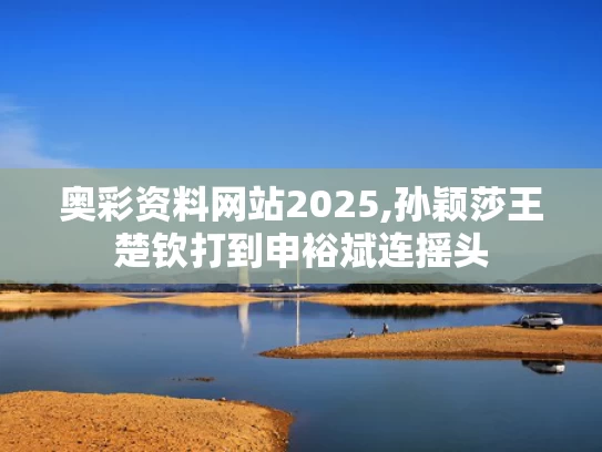 奥彩资料网站2025,孙颖莎王楚钦打到申裕斌连摇头
