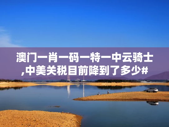 澳门一肖一码一特一中云骑士,中美关税目前降到了多少#