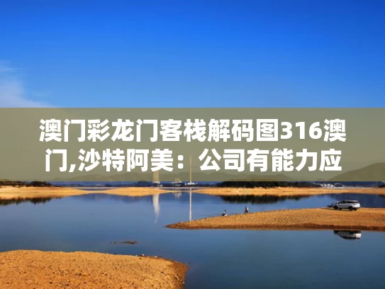 澳门彩龙门客栈解码图316澳门,沙特阿美：公司有能力应对低油价