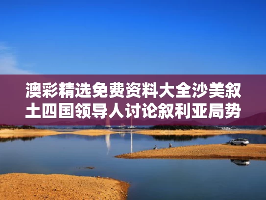 澳彩精选免费资料大全	沙美叙土四国领导人讨论叙利亚局势