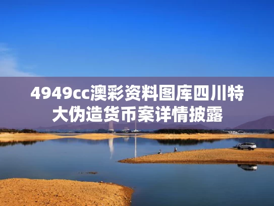 4949cc澳彩资料图库	四川特大伪造货币案详情披露