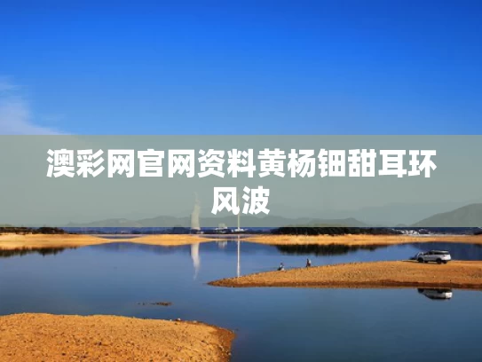 澳彩网官网资料	黄杨钿甜耳环风波