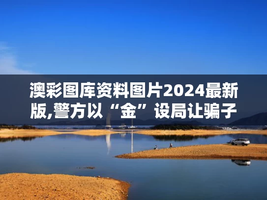 澳彩图库资料图片2024最新版,警方以“金”设局让骗子自投罗网