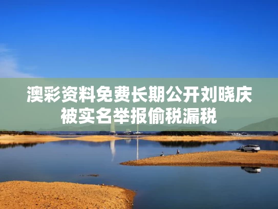 澳彩资料免费长期公开	刘晓庆被实名举报偷税漏税