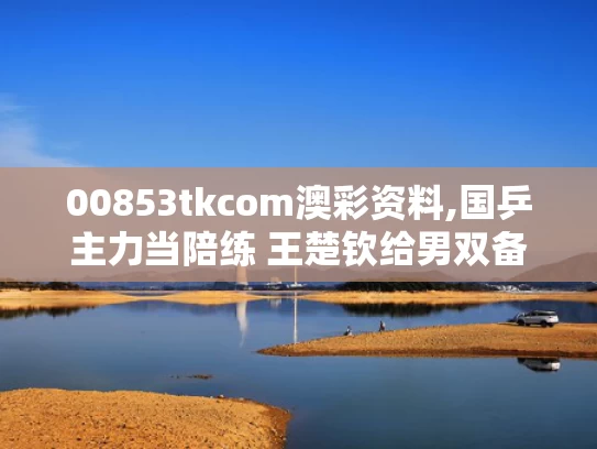 00853tkcom澳彩资料,国乒主力当陪练 王楚钦给男双备战