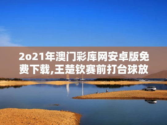 2o21年澳门彩库网安卓版免费下载,王楚钦赛前打台球放松