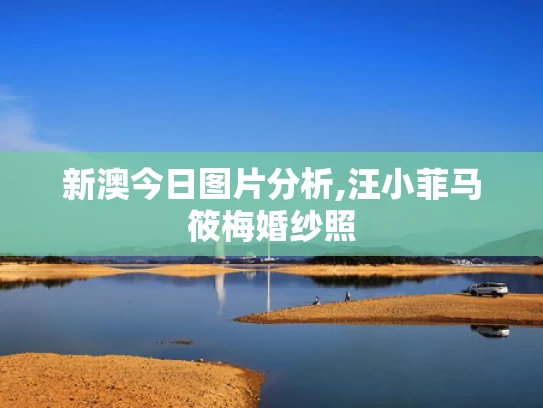 新澳今日图片分析,汪小菲马筱梅婚纱照
