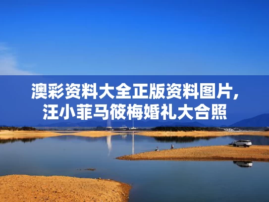 澳彩资料大全正版资料图片,汪小菲马筱梅婚礼大合照