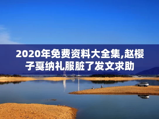 2020年免费资料大全集,赵樱子戛纳礼服脏了发文求助