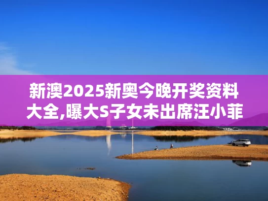 新澳2025新奥今晚开奖资料大全,曝大S子女未出席汪小菲婚礼