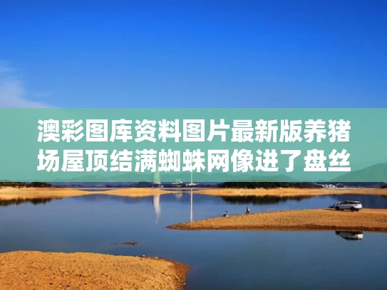 下载中心 第24页