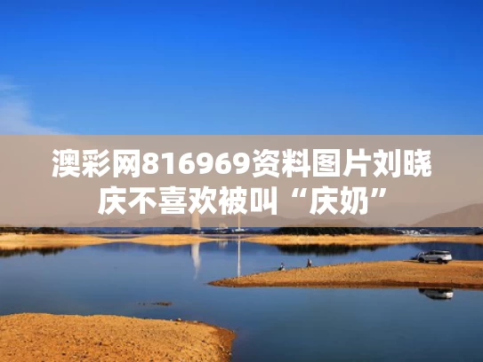 澳彩网816969资料图片	刘晓庆不喜欢被叫“庆奶”