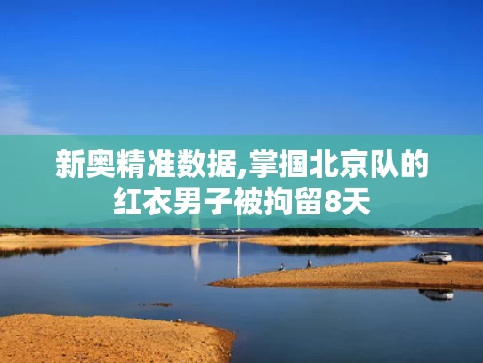 新奥精准数据,掌掴北京队的红衣男子被拘留8天