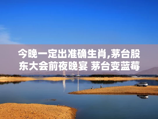 今晚一定出准确生肖,茅台股东大会前夜晚宴 茅台变蓝莓汁