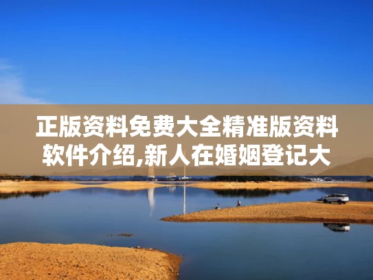 正版资料免费大全精准版资料软件介绍,新人在婚姻登记大厅打架？系摆拍