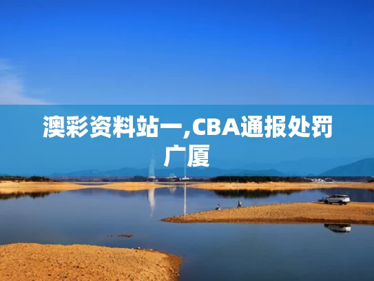澳彩资料站一,CBA通报处罚广厦