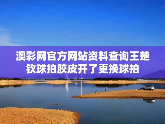 澳彩网官方网站资料查询	王楚钦球拍胶皮开了更换球拍