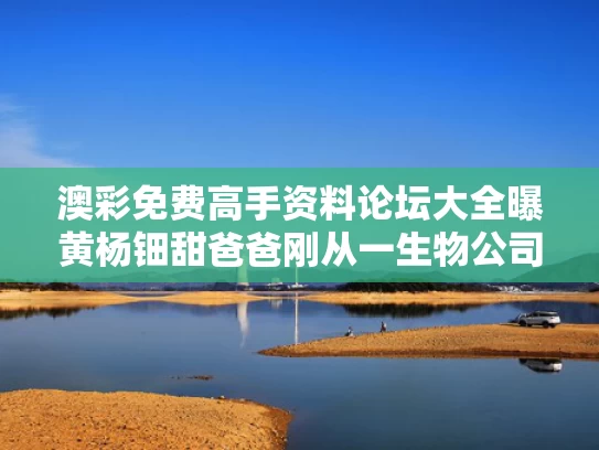 admin 第102页