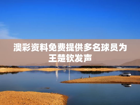 澳彩资料免费提供	多名球员为王楚钦发声