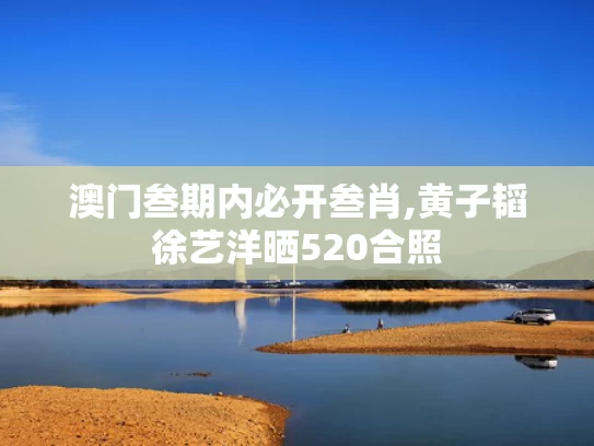 澳门叁期内必开叁肖,黄子韬徐艺洋晒520合照