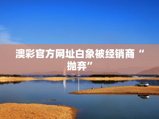 澳彩官方网址	白象被经销商“抛弃”