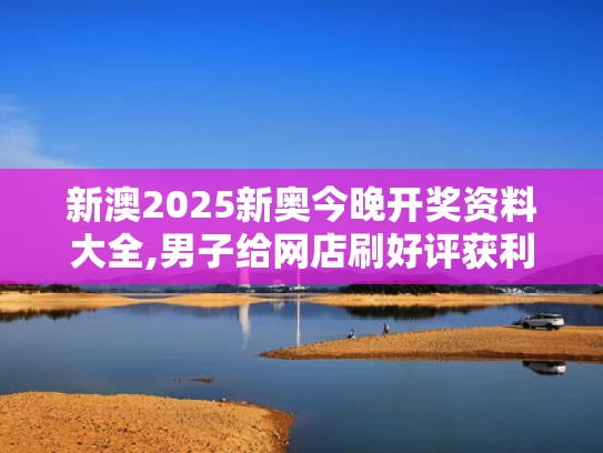 新澳2025新奥今晚开奖资料大全,男子给网店刷好评获利780万被判刑