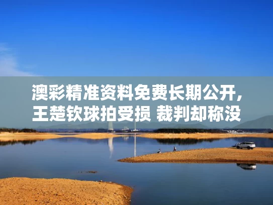 澳彩精准资料免费长期公开,王楚钦球拍受损 裁判却称没关系