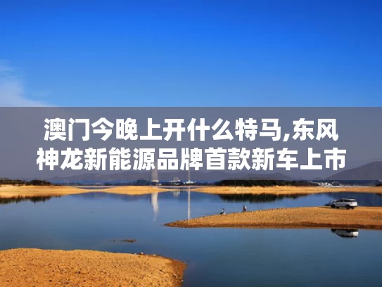 澳门今晚上开什么特马,东风神龙新能源品牌首款新车上市