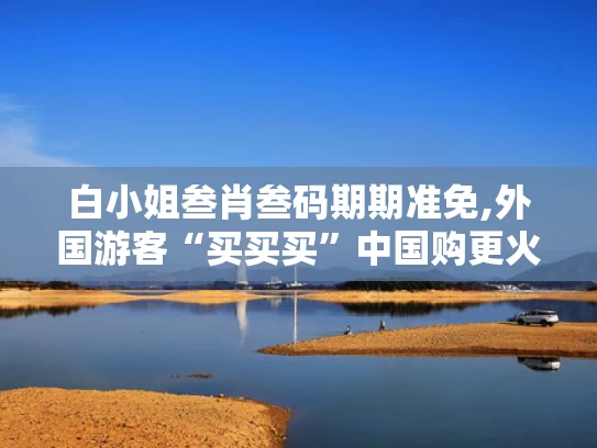 白小姐叁肖叁码期期准免,外国游客“买买买”中国购更火了