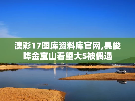 澳彩17图库资料库官网,具俊晔金宝山看望大S被偶遇