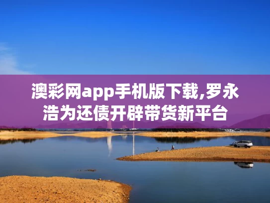 澳彩网app手机版下载,罗永浩为还债开辟带货新平台