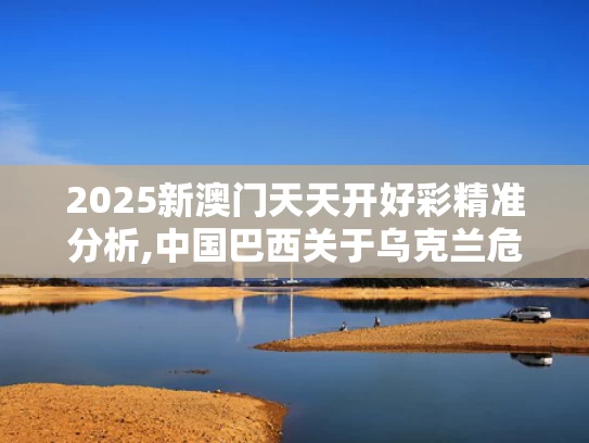 2025新澳门天天开好彩精准分析,中国巴西关于乌克兰危机的联合声明