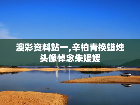 澳彩资料站一,辛柏青换蜡烛头像悼念朱媛媛