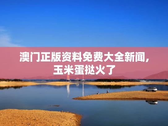 澳门正版资料免费大全新闻,玉米蛋挞火了