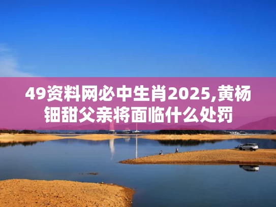 49资料网必中生肖2025,黄杨钿甜父亲将面临什么处罚