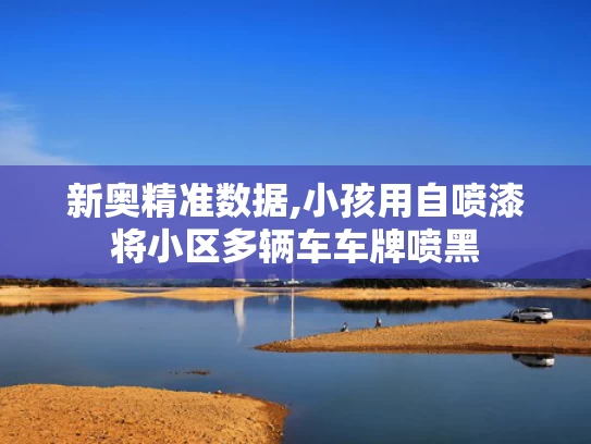 新奥精准数据,小孩用自喷漆将小区多辆车车牌喷黑