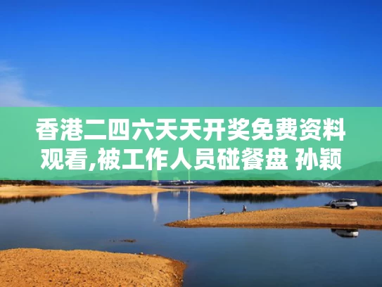 香港二四六天天开奖免费资料观看,被工作人员碰餐盘 孙颖莎急忙制止