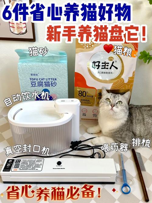 香港澳门 第50页