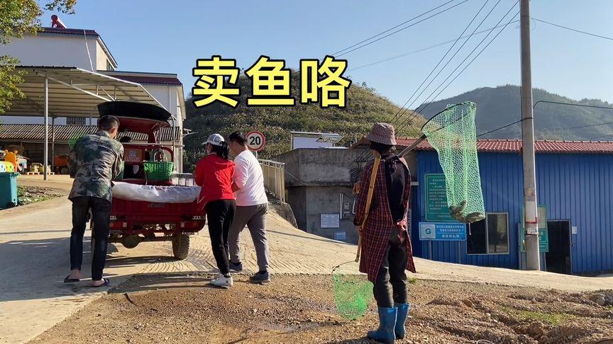 2025澳门天天开好彩大全46期和把西瓜扔鱼塘喂鱼与把西瓜扔鱼塘喂鱼好吗