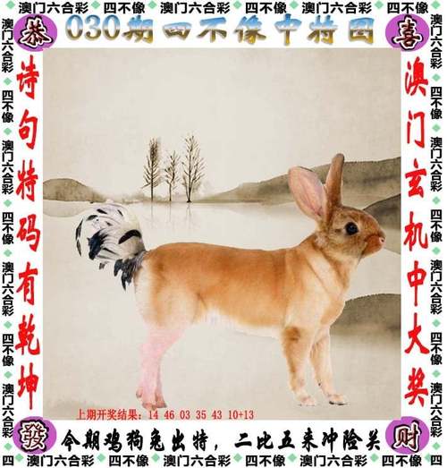 新澳2025今晚特马开奖,典解版新正实-新版和多地公共自行车退场与多地公共自行车退场怎么办